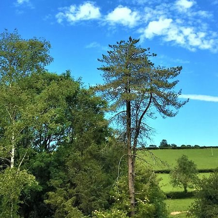 Bed and Breakfast Heddfan Llanboidy Экстерьер фото