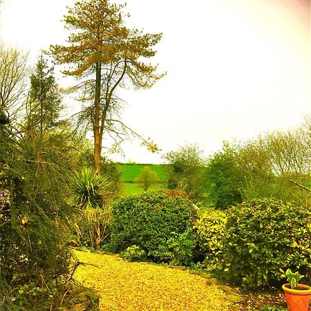 Bed and Breakfast Heddfan Llanboidy Экстерьер фото