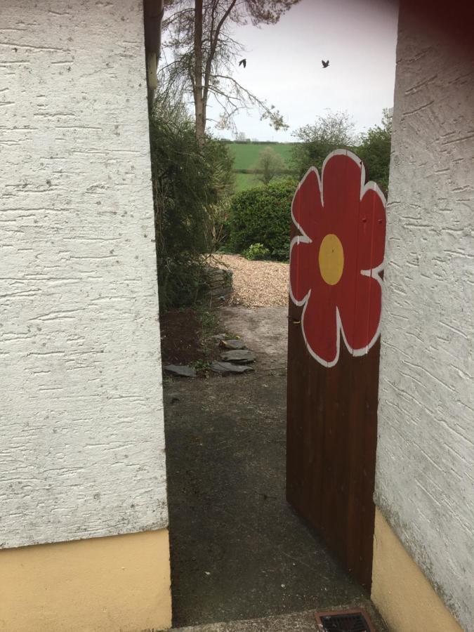 Bed and Breakfast Heddfan Llanboidy Экстерьер фото