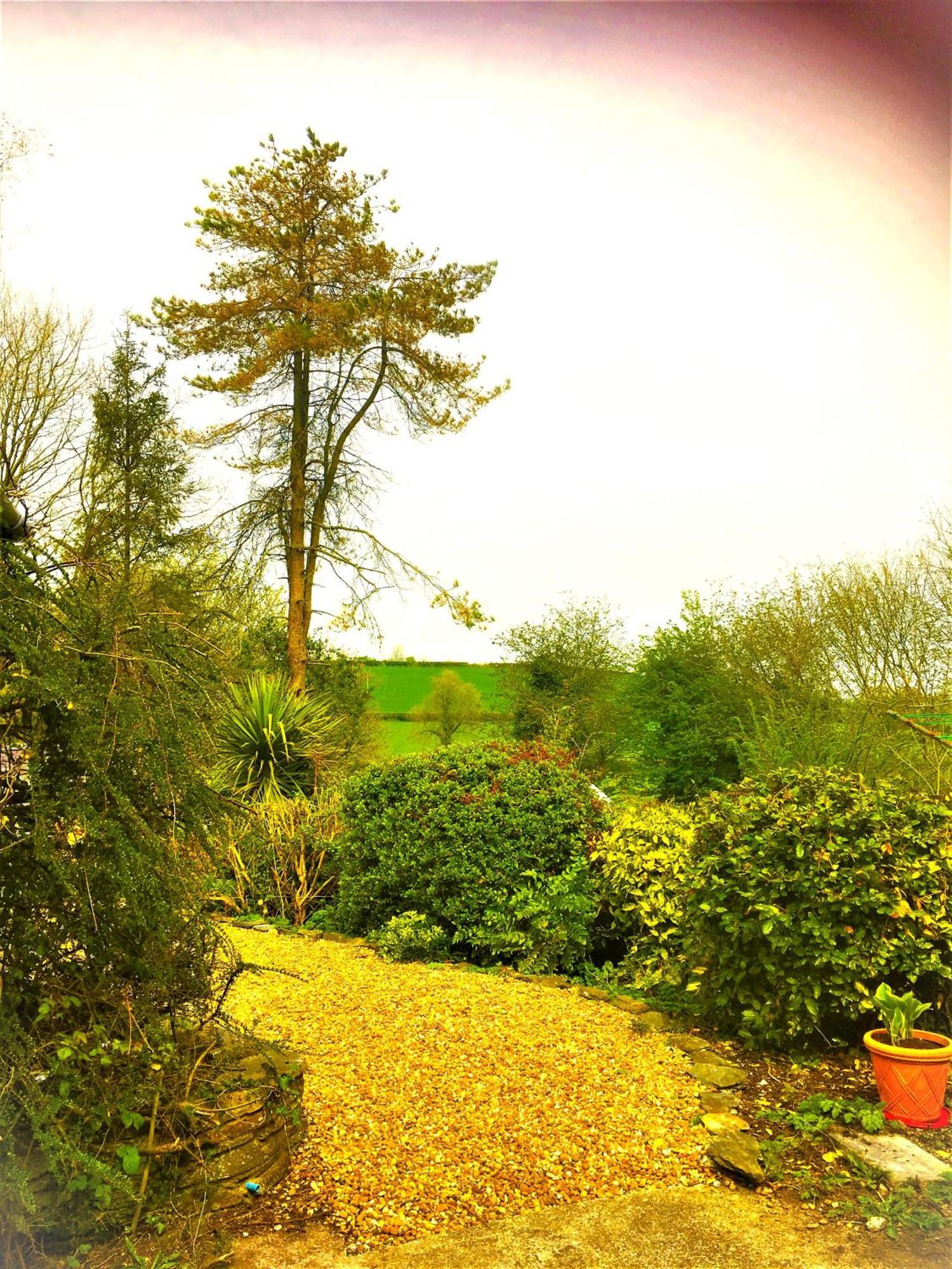 Bed and Breakfast Heddfan Llanboidy Экстерьер фото
