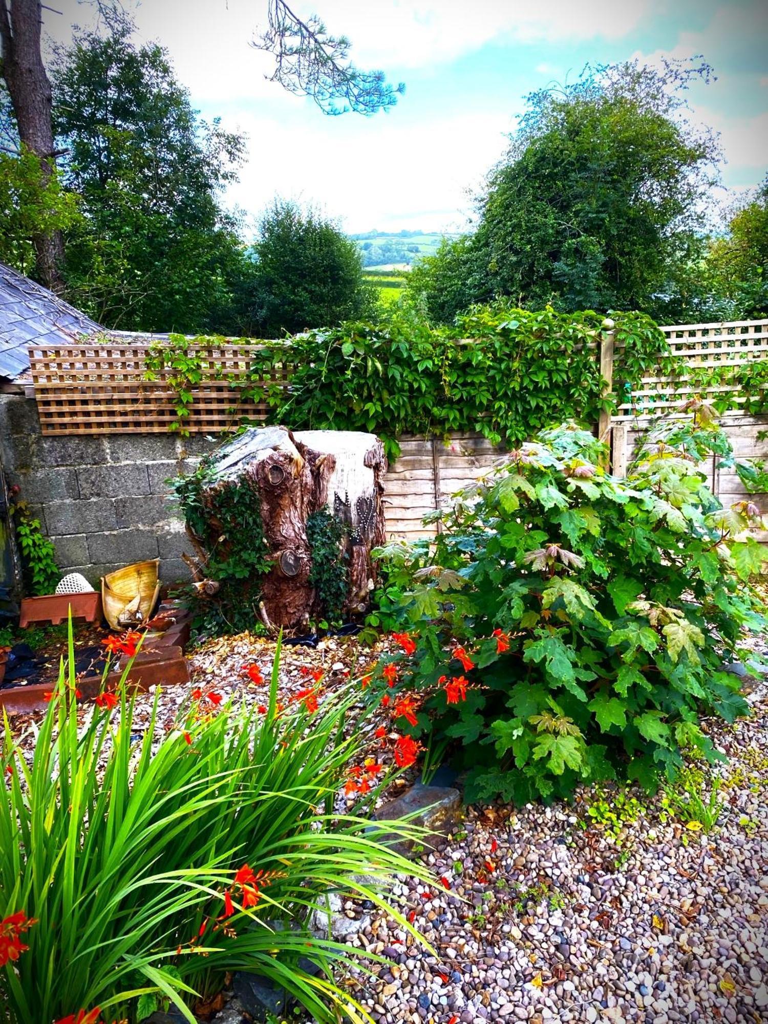 Bed and Breakfast Heddfan Llanboidy Экстерьер фото